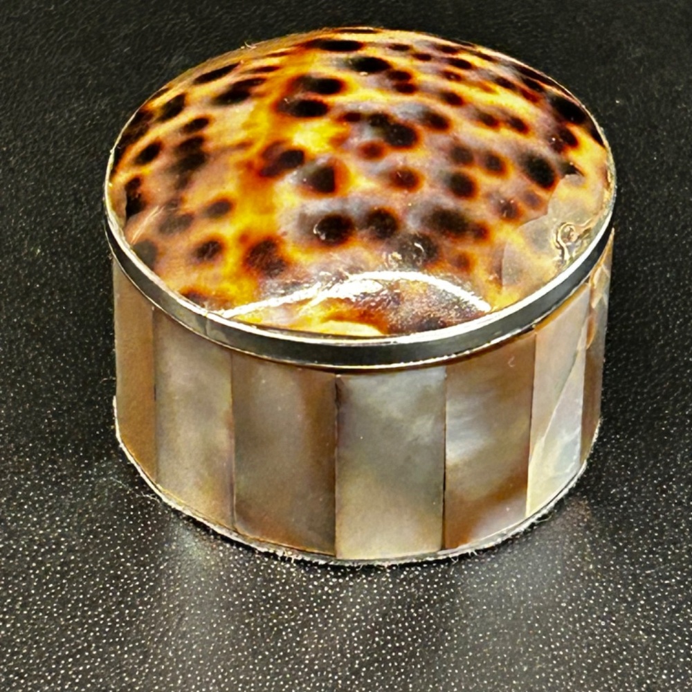 Abalone and Leopard Cowrie Shell Metal Trinket Box